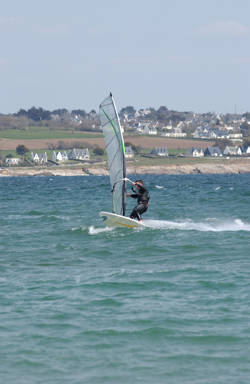 dsc_9734_800.jpg 