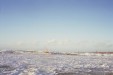 Vignette fl000018.jpg 