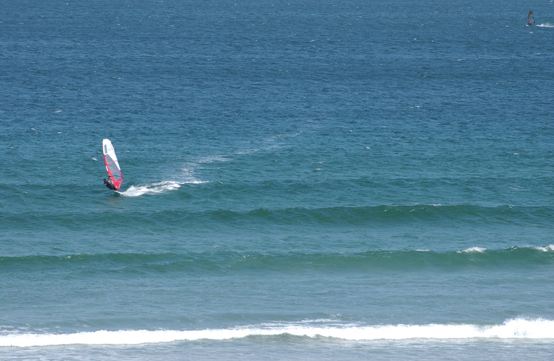 DSC_9880_800.jpg 
