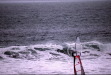 Vignette bs060107_0016.JPG 