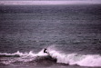 Vignette bs060107_0058.JPG 