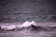 Vignette bs060107_0063.JPG 