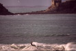 Vignette bs060107_0069.JPG 