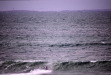 Vignette bs060107_0089.JPG 