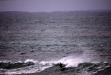 Vignette bs060107_0092.JPG 