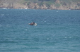 Vignette dsc_0059_1024.jpg 