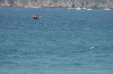 Vignette dsc_0061_1024.jpg 