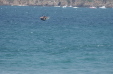 Vignette dsc_0062_1024.jpg 