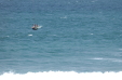 Vignette dsc_0064_1024.jpg 