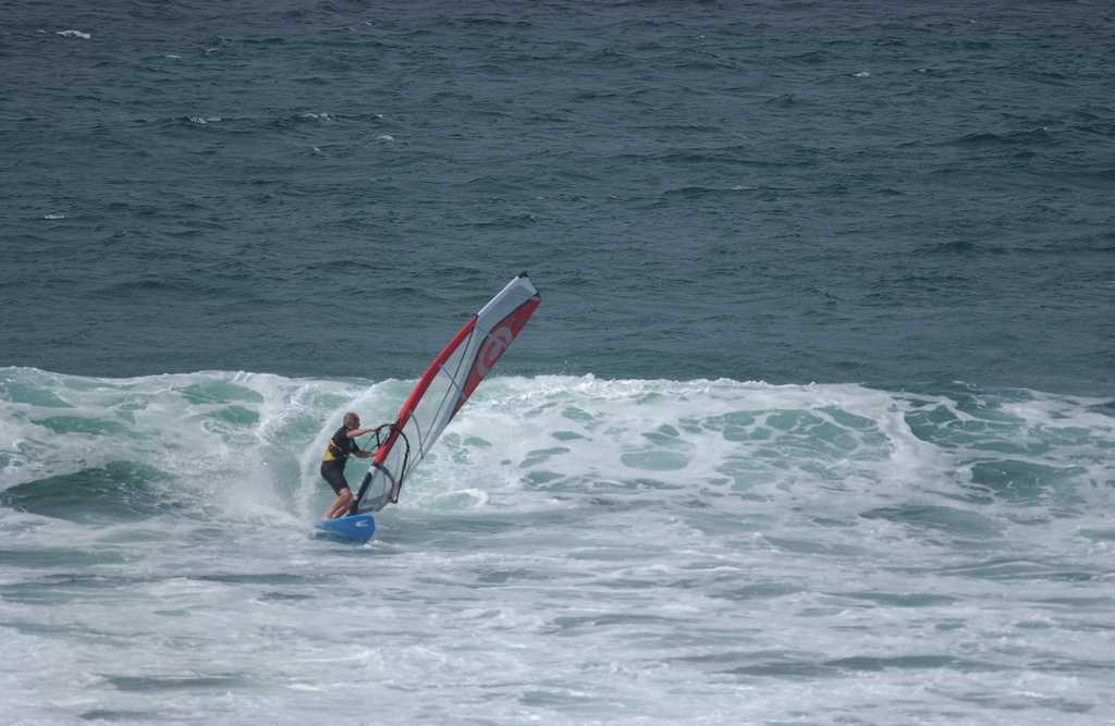 dsc_0093_1024.jpg 