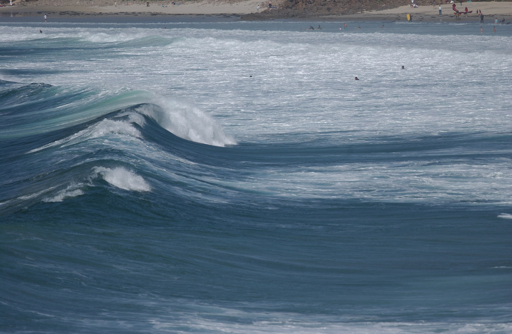 dsc_0231_1024.jpg 
