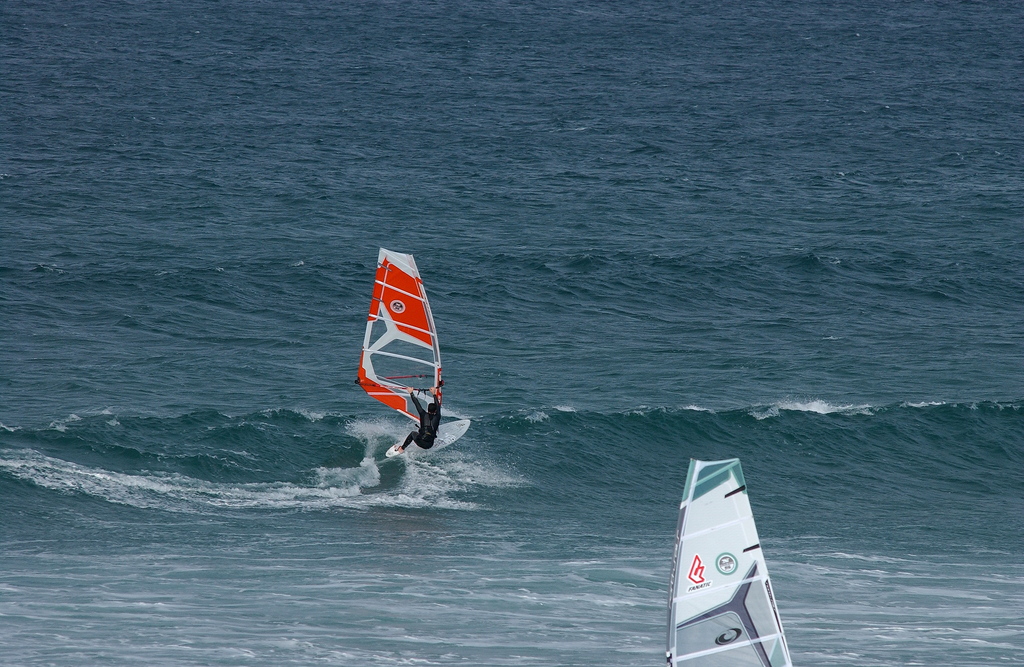 dsc_1854_mod_1024.jpg 
