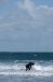 DSC_7480_1024