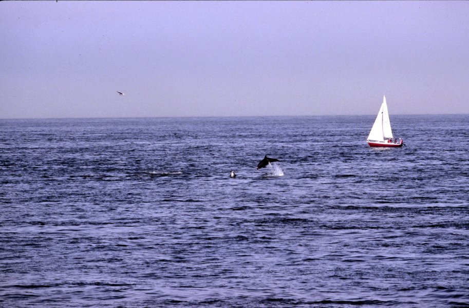 aout2005_0006