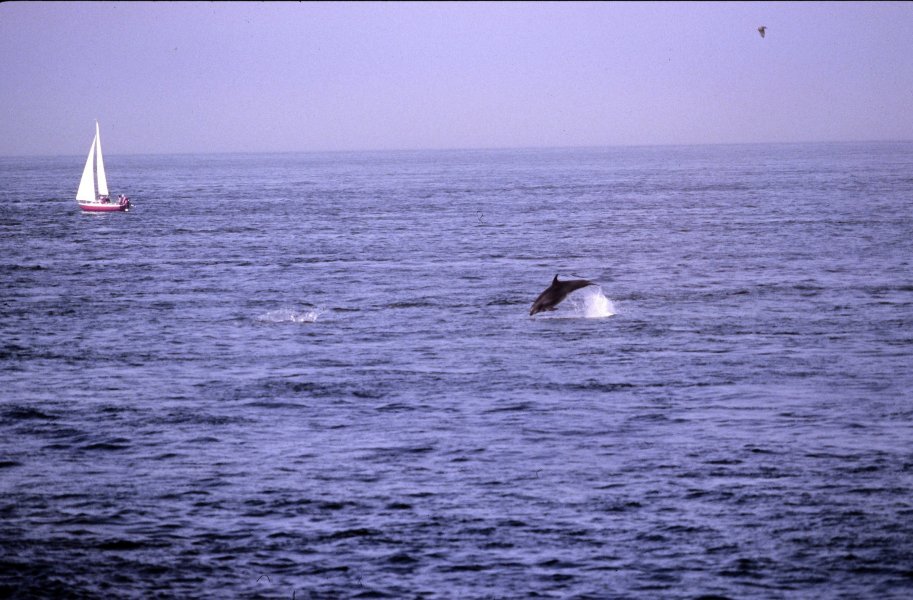 aout2005_0007