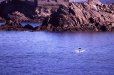 aout2005_0001
