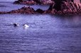 aout2005_0002