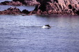 aout2005_0003