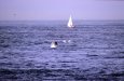 aout2005_0005