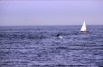aout2005_0006