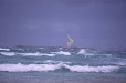 bs_dinos_0002_600