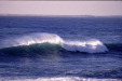 bs_dinos_0011_600
