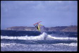 bs_dinos_0014_600
