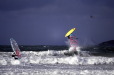 bs_dinos_0016_600