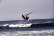 bs_dinos_0017_600