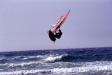 bs_dinos_0018_600