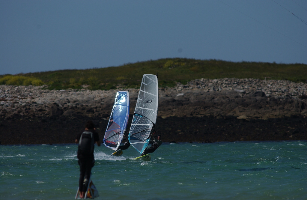 dsc_1020_1024.jpg 