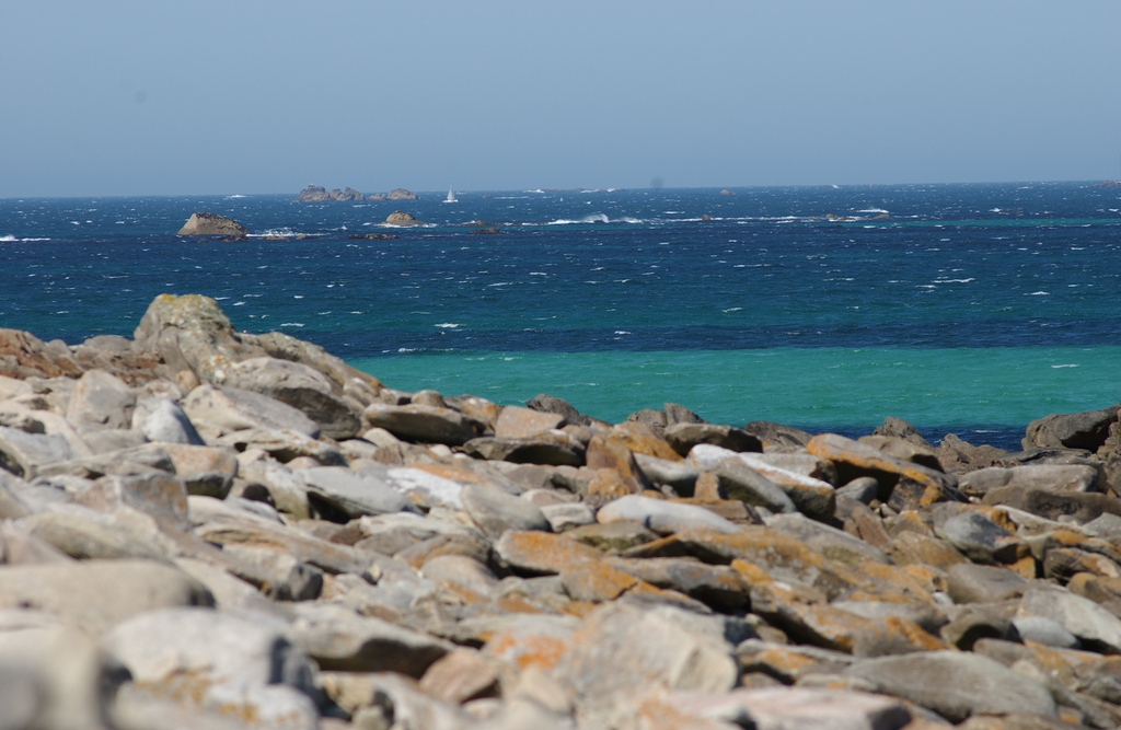 dsc_1081_1024.jpg 