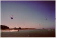 Vignette lampaul_nikonos_0004_600.jpg 
