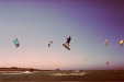 Vignette lampaul_nikonos_0013_600.jpg 