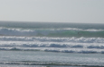 s2_dsc_0118