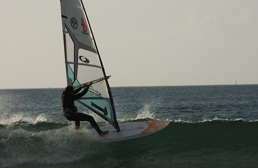 dsc_2830_1024.jpg 