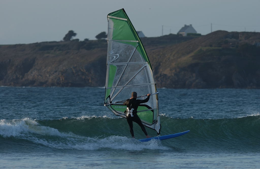 dsc_2930_1024.jpg 