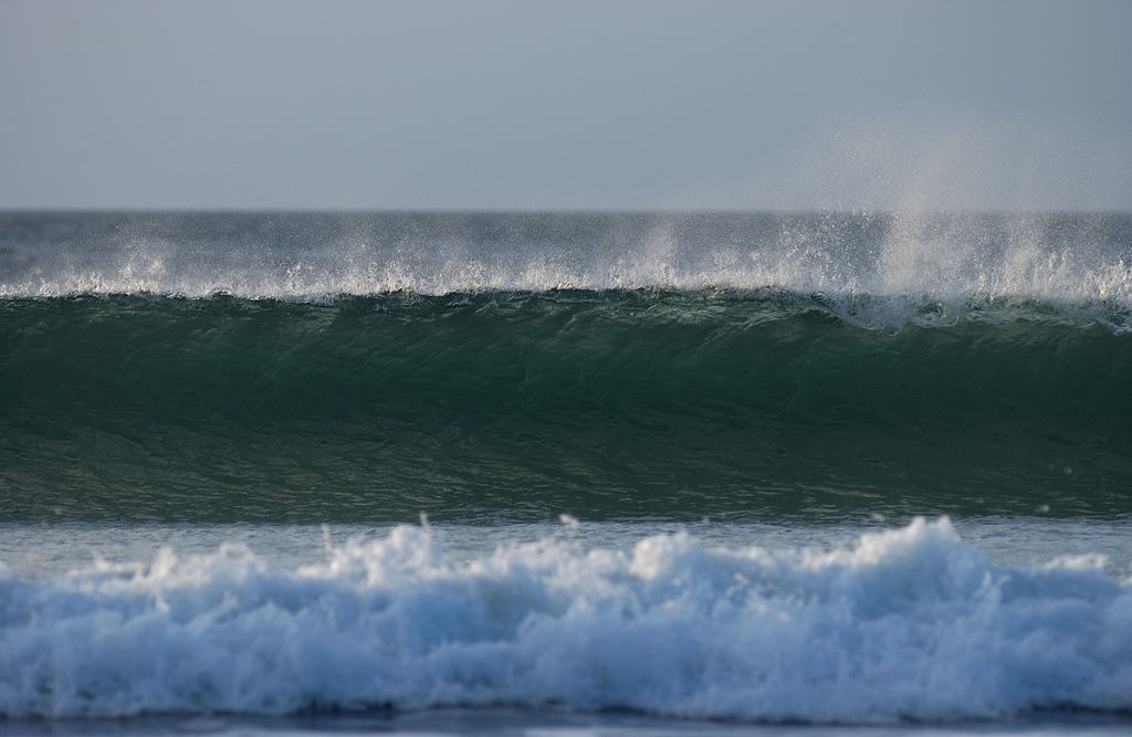 dsc_2981_1024.jpg 