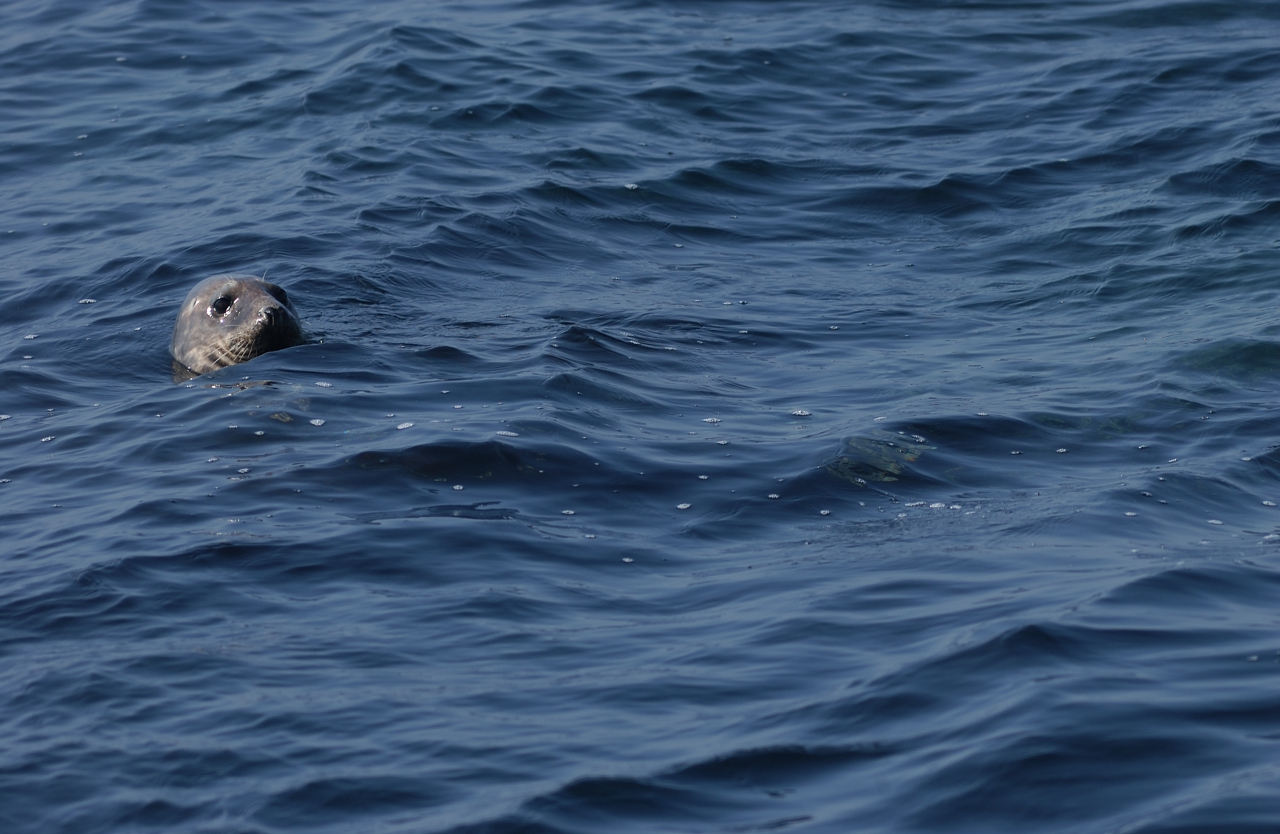 Diapositive dsc_3699.jpg 